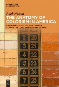 bokomslag Anatomy of Colorism in America