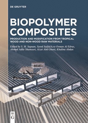 bokomslag Biopolymer Composites