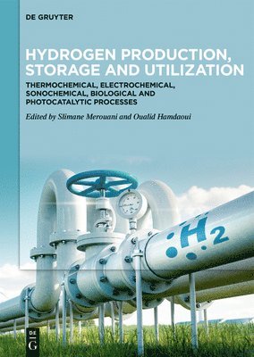 bokomslag Hydrogen Production, Storage and Utilization