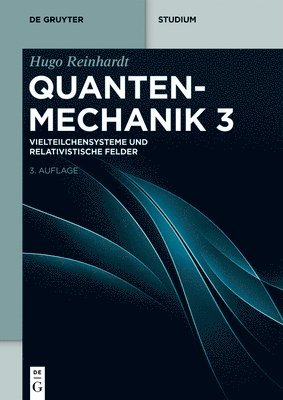 Hugo Reinhardt - Vielteilchensysteme Und Relativistische Felder, Häftad