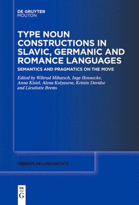 Type Noun Constructions in Slavic, Germanic and Romance Languages 1