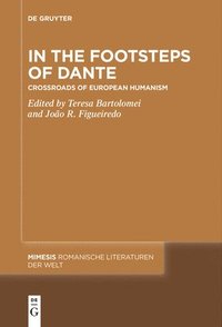 bokomslag In the Footsteps of Dante