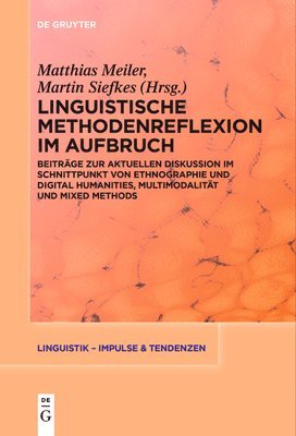 Matthias Meiler, Martin Siefkes - Linguistische Methodenreflexion Im Aufbruch, Häftad