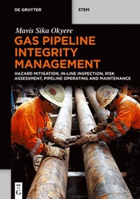 bokomslag Gas Pipeline Integrity Management