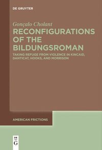 bokomslag Reconfigurations of the Bildungsroman