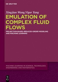 bokomslag Emulation of Complex Fluid Flows