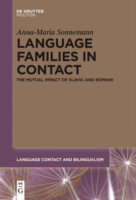 bokomslag Language Families in Contact