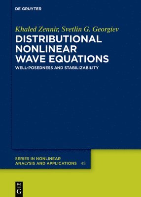 bokomslag Distributional Nonlinear Wave Equations