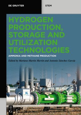 Hydrogen Production, Storage and Utilization Technologies