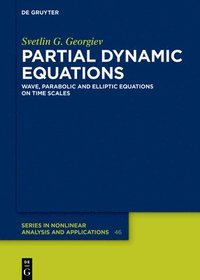 bokomslag Partial Dynamic Equations