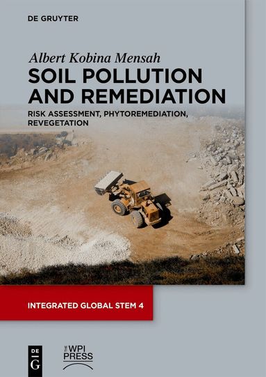 Albert Kobina Mensah - Soil Pollution and Remediation, Häftad