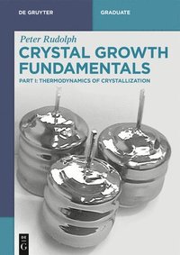 bokomslag Crystal Growth Fundamentals
