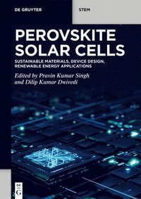 bokomslag Perovskite Solar Cells