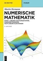 Martin Hermann, Martin Hermann - Numerische Mathematik: Lineare Gleichungssysteme, Eigenwertprobleme, Nichtlineare Gleichungen, Inbunden