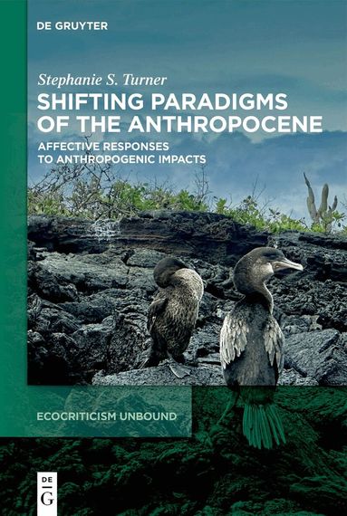 Stephanie S. Turner - Shifting Paradigms of the Anthropocene, Inbunden
