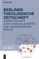 Torsten Meireis, Ulrike Schröder - Anwaltschaft Zwischen Solidarität Und Hegemonialer PRAXIS, Inbunden