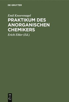 bokomslag Praktikum Des Anorganischen Chemikers