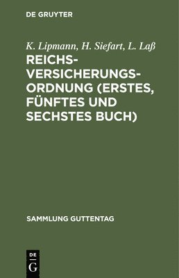 bokomslag Reichsversicherungsordnung (Erstes, Fünftes Und Sechstes Buch)