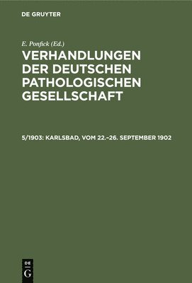 bokomslag Karlsbad, Vom 22.-26. September 1902