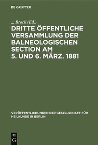 bokomslag Dritte Öffentliche Versammlung Der Balneologischen Section Am 5. Und 6. März. 1881