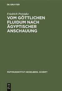 bokomslag Vom Göttlichen Fluidum Nach Ägyptischer Anschauung