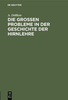 bokomslag Großen Probleme in Der Geschichte Der Hirnlehre