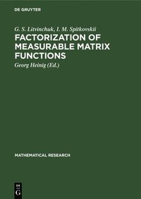 bokomslag Factorization of Measurable Matrix Functions