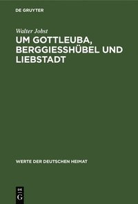 bokomslag Um Gottleuba, Berggiesshbel Und Liebstadt