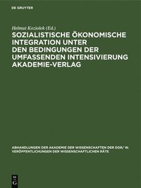 bokomslag Sozialistische konomische Integration Unter Den Bedingungen Der Umfassenden Intensivierung Akademie-Verlag