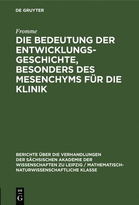 bokomslag Die Bedeutung Der Entwicklungsgeschichte, Besonders Des Mesenchyms Für Die Klinik