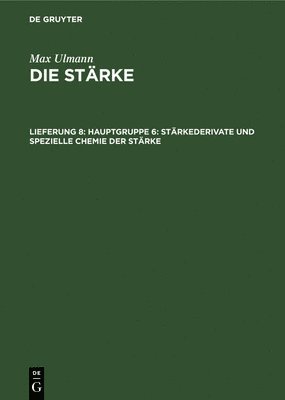 bokomslag Hauptgruppe 6: Strkederivate Und Spezielle Chemie Der Strke