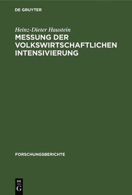 bokomslag Messung Der Volkswirtschaftlichen Intensivierung