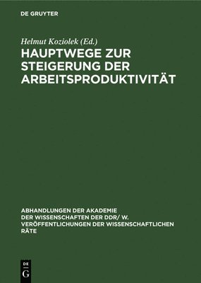 bokomslag Hauptwege Zur Steigerung Der Arbeitsproduktivitt
