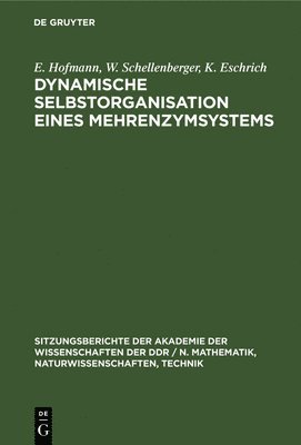 bokomslag Dynamische Selbstorganisation Eines Mehrenzymsystems