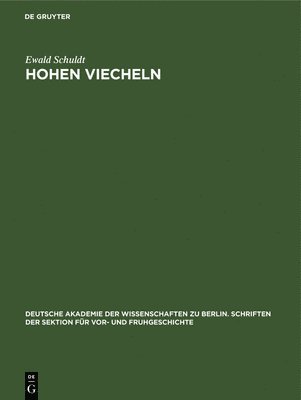 Hohen Viecheln 1