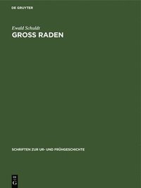 bokomslag Groß Raden
