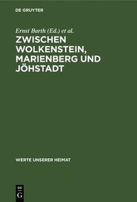 bokomslag Zwischen Wolkenstein, Marienberg Und Jhstadt