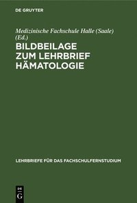 bokomslag Bildbeilage Zum Lehrbrief Hmatologie