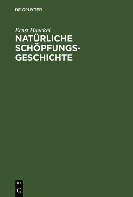 bokomslag Natrliche Schpfungs-Geschichte