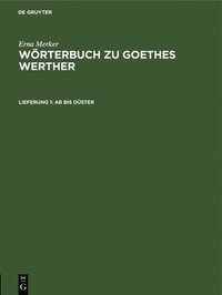bokomslag AB Bis Düster