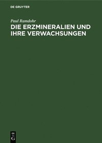 bokomslag Die Erzmineralien Und Ihre Verwachsungen