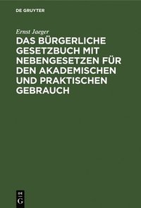 bokomslag Das Brgerliche Gesetzbuch Mit Nebengesetzen Fr Den Akademischen Und Praktischen Gebrauch