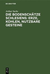 bokomslag Die Bodenschätze Schlesiens: Erze, Kohlen, Nutzbare Gesteine