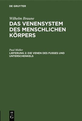 Die Venen Des Fusses Und Unterschenkels 1