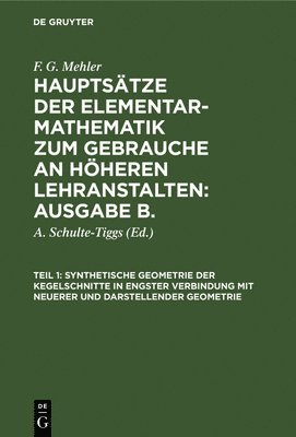 bokomslag Synthetische Geometrie Der Kegelschnitte in Engster Verbindung Mit Neuerer Und Darstellender Geometrie