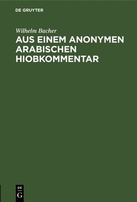 bokomslag Aus Einem Anonymen Arabischen Hiobkommentar