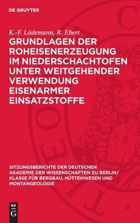 bokomslag Grundlagen Der Roheisenerzeugung Im Niederschachtofen Unter Weitgehender Verwendung Eisenarmer Einsatzstoffe: Mitteilungen Aus Dem Eisenhütten-Institu