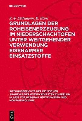 bokomslag Grundlagen Der Roheisenerzeugung Im Niederschachtofen Unter Weitgehender Verwendung Eisenarmer Einsatzstoffe: Mitteilungen Aus Dem Eisenhütten-Institu