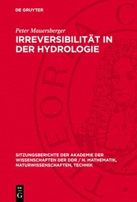 bokomslag Irreversibilität in Der Hydrologie