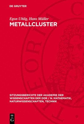 bokomslag Metallcluster